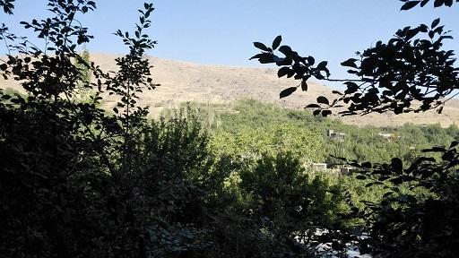 ممنوعیت تردد خودرو به نقاط کوهستانی دره مرادبیگ همدان ممنوعیت تردد خودرو به نقاط کوهستانی دره مرادبیگ همدان