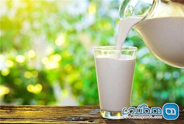 8 دلیل مهم برای اینکه شیر را دوست داشته باشیم