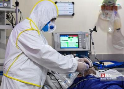 بستری 197 هزار بیمار کرونایی در بیمارستان های پایتخت خبرنگاران