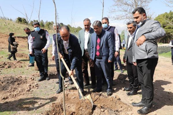 کاشت نهال به یاد شهدای آتشنشان در بوستان جنگلی سرخه حصار