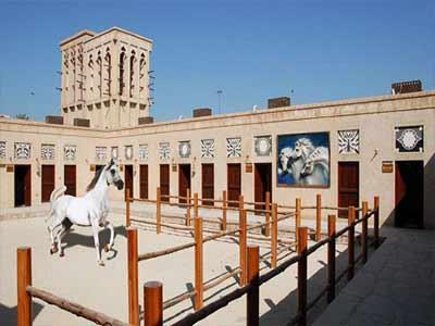 موزه اسب دبی، جایی برای شناخت دنیای اسب ها