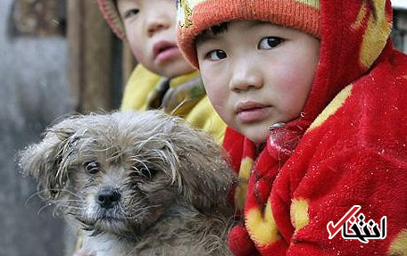 چین از سیستم هوشمند تشخیص هویت سگ ها رونمایی کرد ، روشی تازه برای جریمه صاحبان متخلف حیوانات خانگی